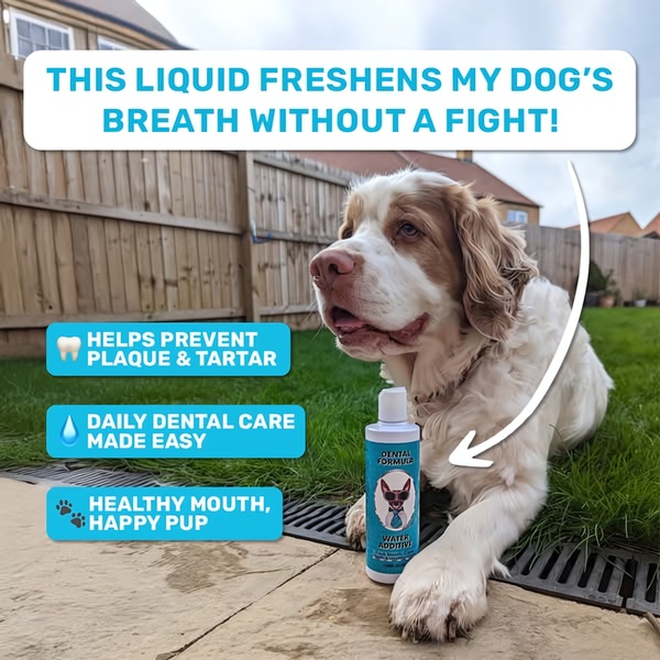 A square ad creative featuring a dog with a bottle of dental water additive, using benefit-driven text overlays to highlight product convenience.
